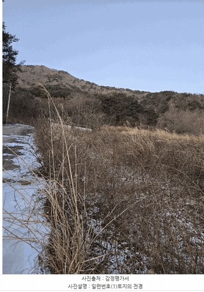 2024타경6792 경상남도 산청군 단성면 방목리 산176 임야 경매 이미지