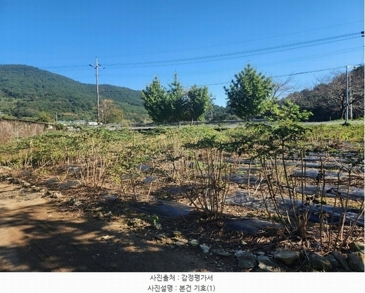 2024타경38324 경상남도 남해군 남면 상가리 731-2 농지 경매 이미지