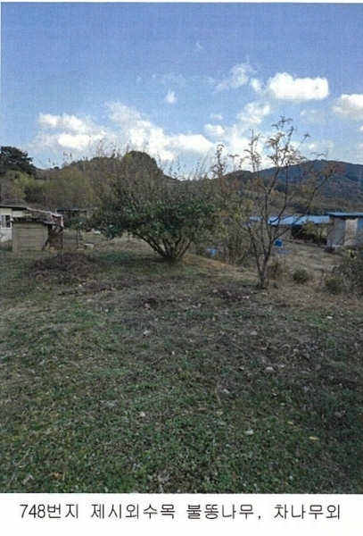 2024타경39372 경상남도 산청군 신안면 안봉리 744 농지 경매 이미지