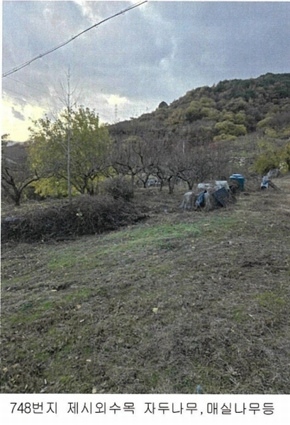 2024타경39372 경상남도 산청군 신안면 안봉리 744 농지 경매 이미지