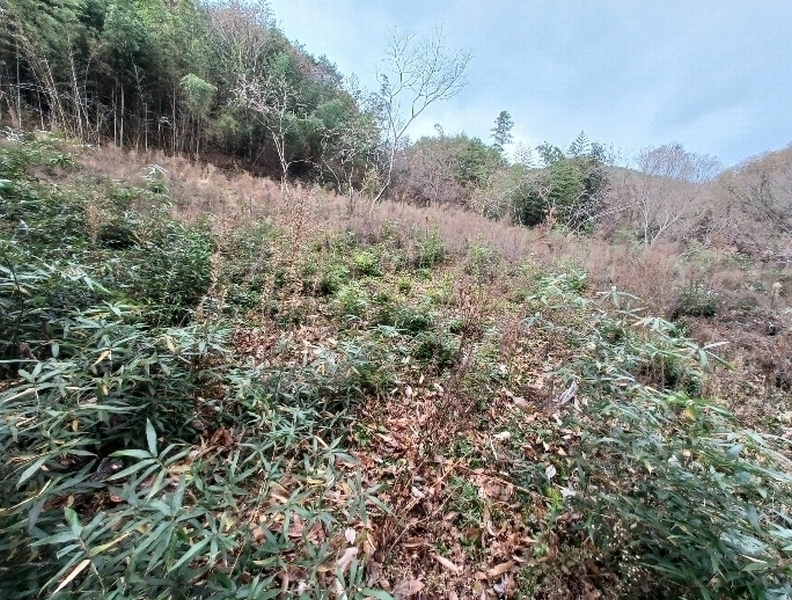 2024타경39662 경상남도 산청군 생비량면 제보리 1006-1 농지 경매 이미지