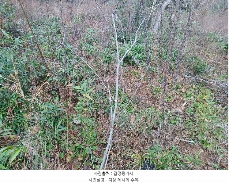 2024타경39662 경상남도 산청군 생비량면 제보리 1006-1 농지 경매 이미지