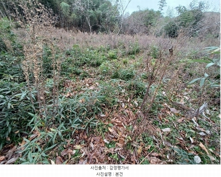 2024타경39662 경상남도 산청군 생비량면 제보리 1006-1 농지 경매 이미지