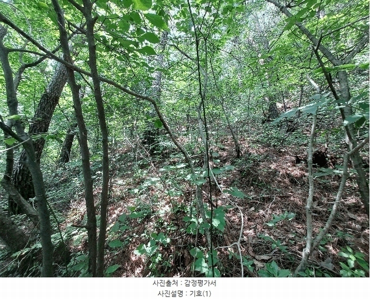 2025타경760 경상남도 하동군 진교면 고이리 산211-1 임야 경매 이미지