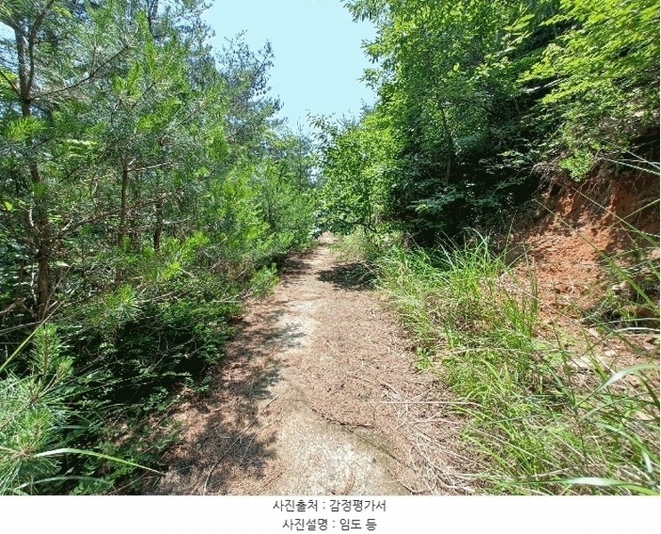 2025타경760 경상남도 하동군 진교면 고이리 산211-1 임야 경매 이미지