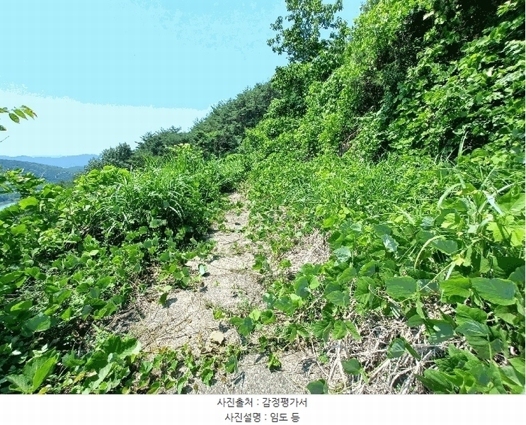 2025타경760 경상남도 하동군 진교면 고이리 산211-1 임야 경매 이미지