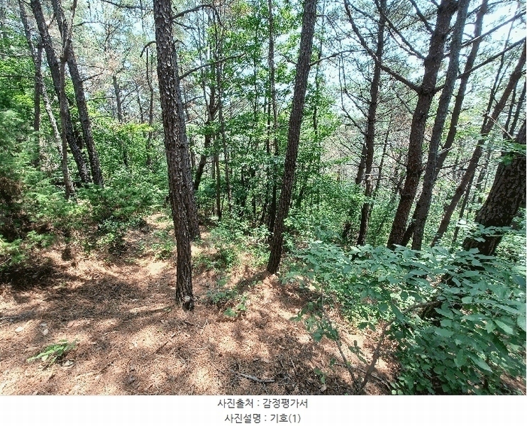 2025타경760 경상남도 하동군 진교면 고이리 산211-1 임야 경매 이미지