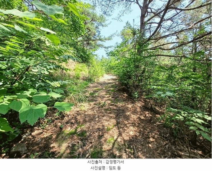 2025타경760 경상남도 하동군 진교면 고이리 산211-1 임야 경매 이미지