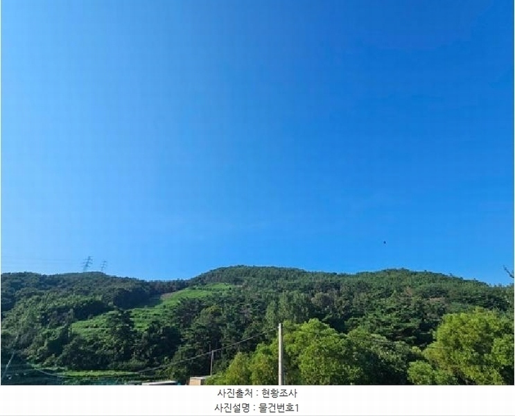 2025타경760 경상남도 하동군 진교면 고이리 산211-1 임야 경매 이미지