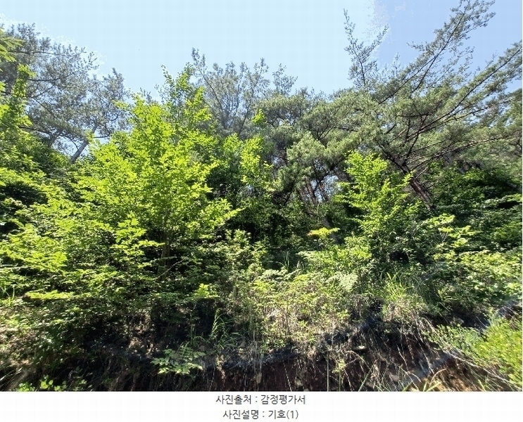 2025타경760 경상남도 하동군 진교면 고이리 산211-1 임야 경매 이미지