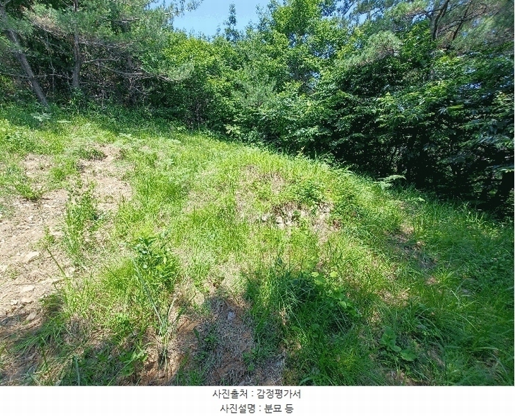 2025타경760 경상남도 하동군 진교면 고이리 산211-1 임야 경매 이미지