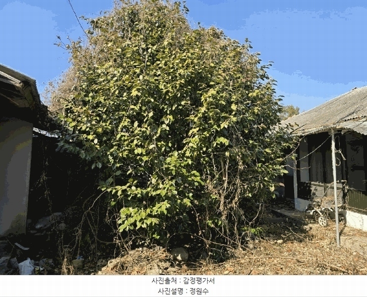 2025타경30532 경상남도 사천시 곤명면 금성리 396-13 주택 경매 이미지