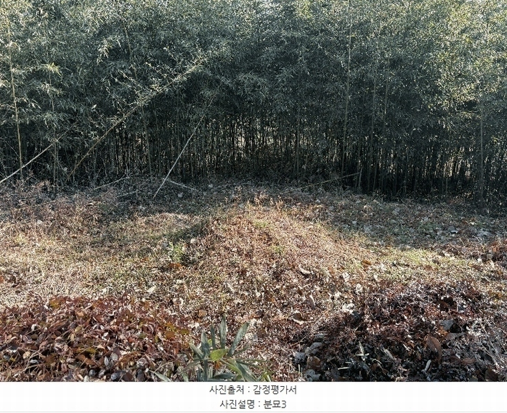 2025타경30614 경상남도 하동군 악양면 평사리 916-1 임야 경매 이미지
