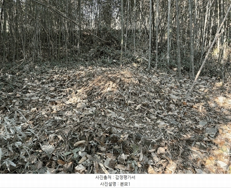 2025타경30614 경상남도 하동군 악양면 평사리 916-1 임야 경매 이미지