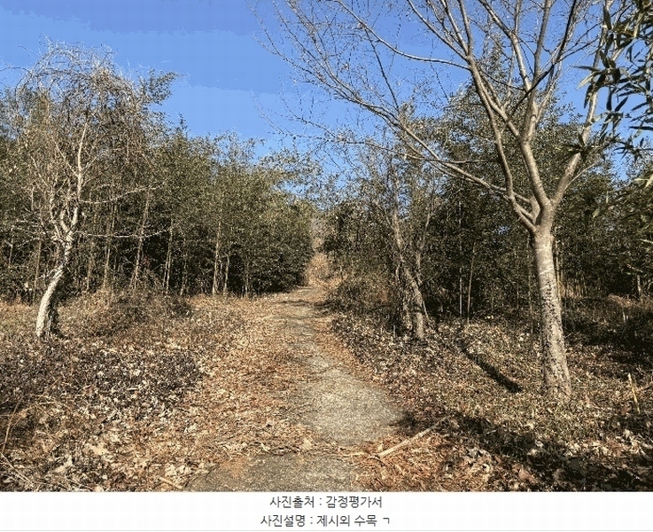 2025타경30614 경상남도 하동군 악양면 평사리 916-1 임야 경매 이미지