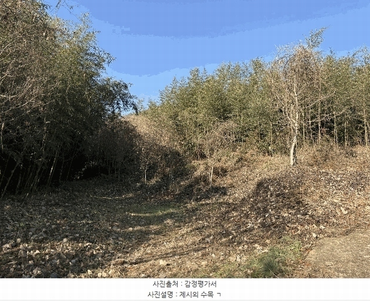 2025타경30614 경상남도 하동군 악양면 평사리 916-1 임야 경매 이미지