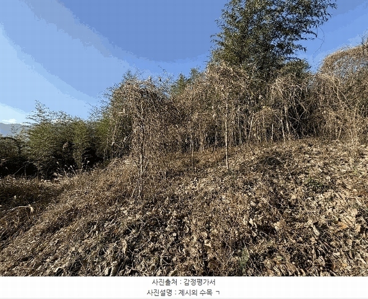 2025타경30614 경상남도 하동군 악양면 평사리 916-1 임야 경매 이미지