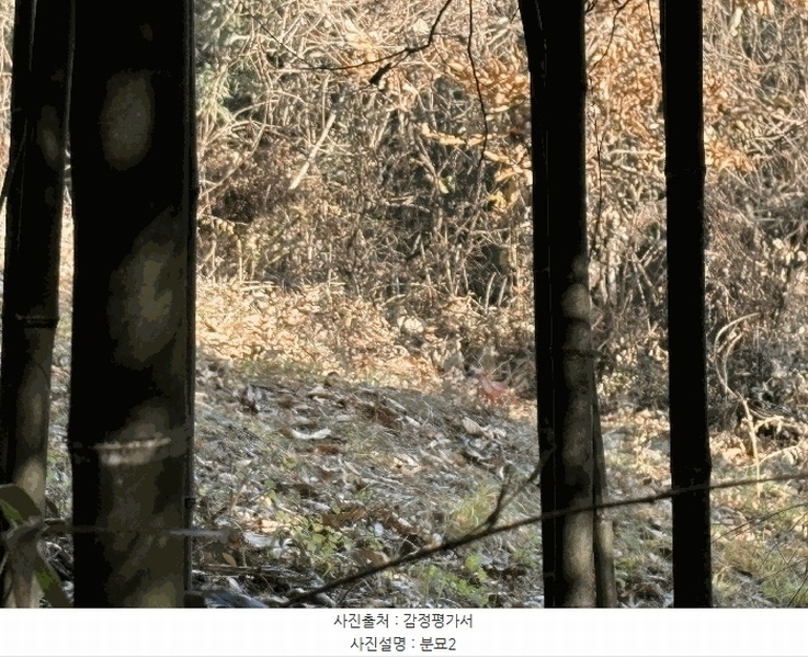 2025타경30614 경상남도 하동군 악양면 평사리 916-1 임야 경매 이미지