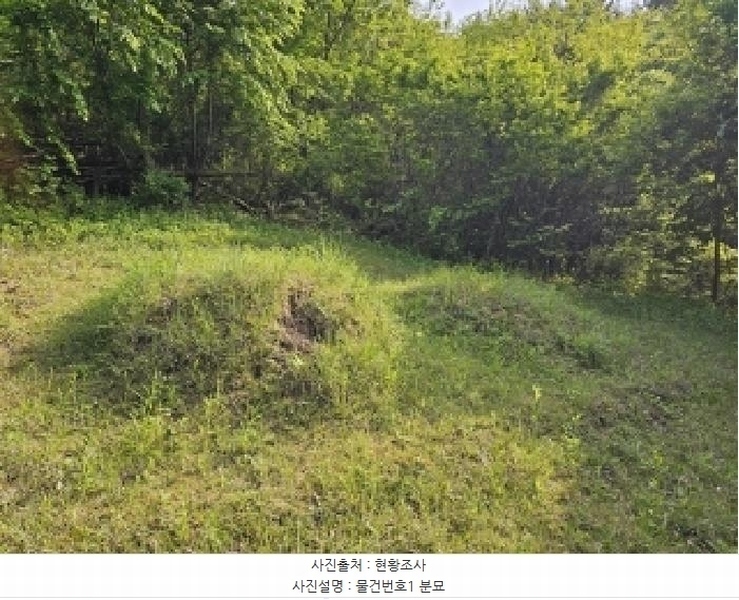 2025타경30641 경상남도 진주시 사봉면 사곡리 산54 임야 경매 이미지