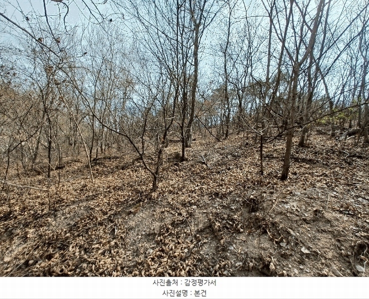 2025타경30641 경상남도 진주시 사봉면 사곡리 산54 임야 경매 이미지