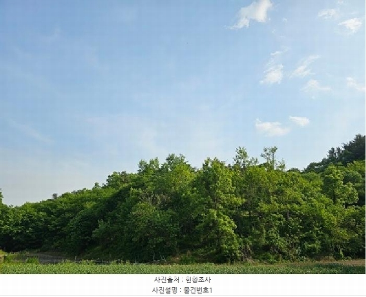 2025타경30641 경상남도 진주시 사봉면 사곡리 산54 임야 경매 이미지