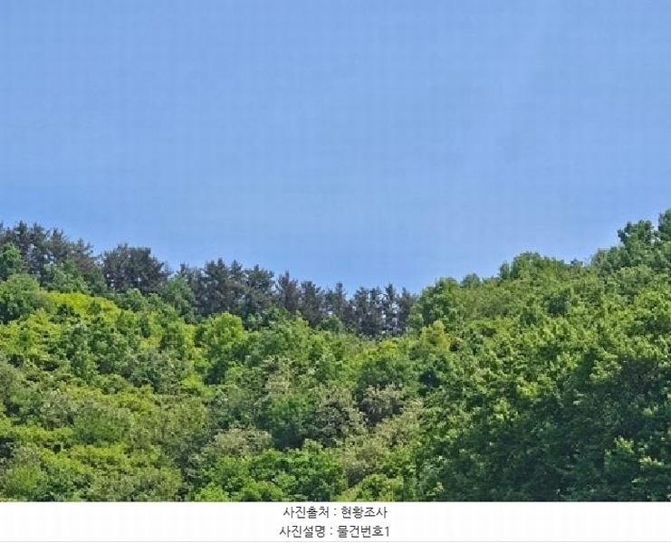 2025타경30759 경상남도 진주시 문산읍 삼곡리 산11-10 임야 경매 이미지