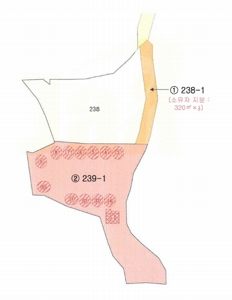 2023타경37300 경상남도 사천시 축동면 배춘리 238-1 숙박시설 경매 이미지