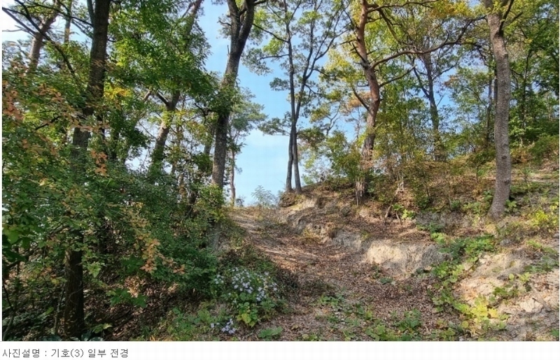 2023타경37355 경상남도 산청군 생초면 신연리 산2-4 임야 경매 이미지