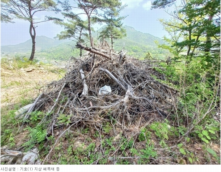 2024타경1513 경상남도 산청군 단성면 방목리 산135-37 임야 경매 이미지