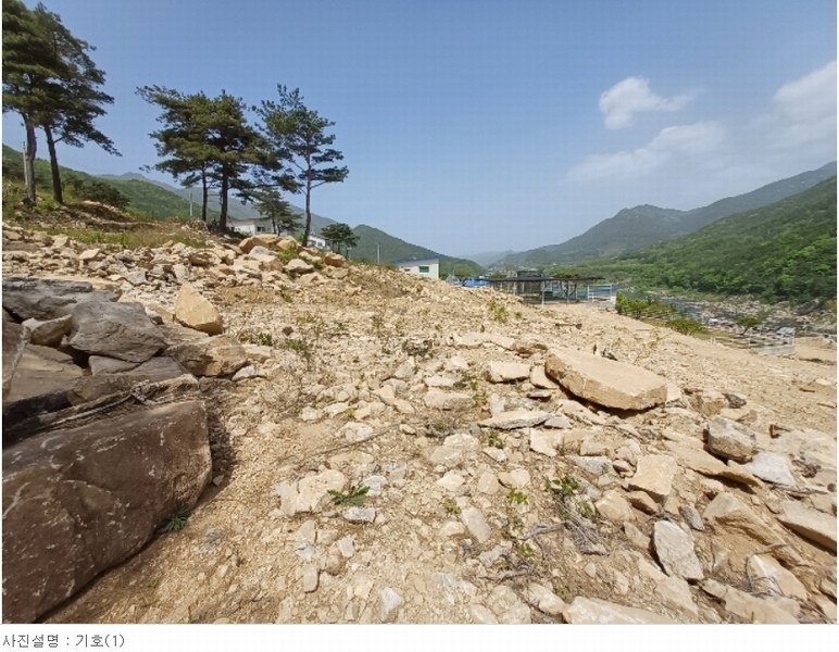2024타경1513 경상남도 산청군 단성면 방목리 산135-37 임야 경매 이미지