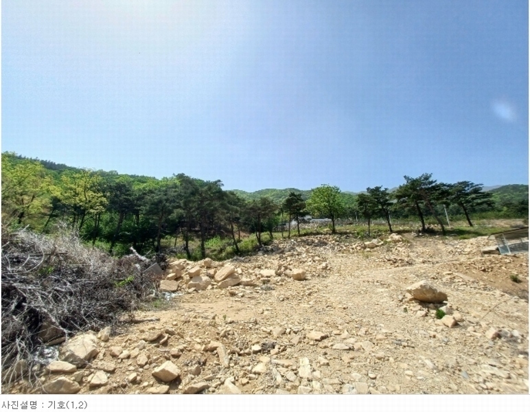 2024타경1513 경상남도 산청군 단성면 방목리 산135-37 임야 경매 이미지