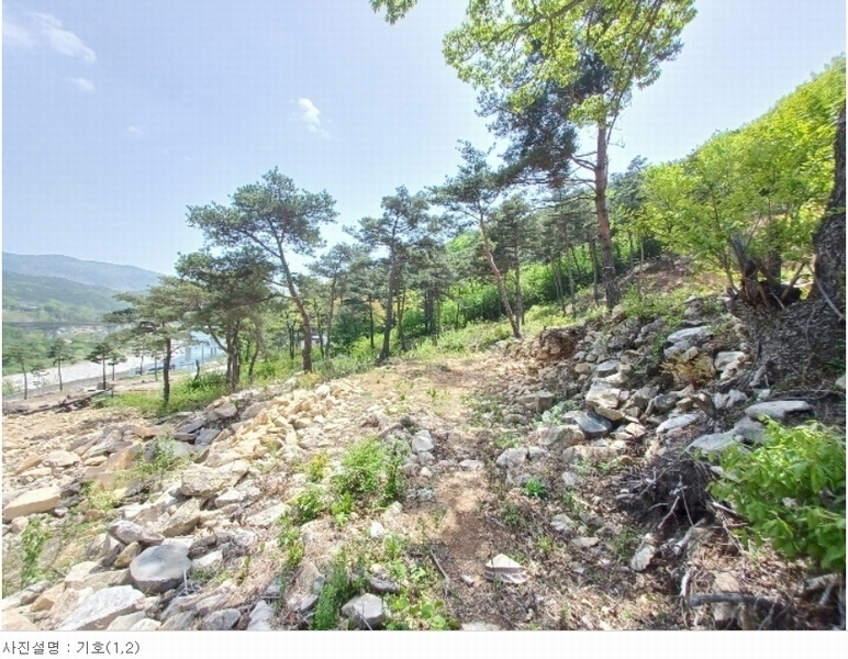2024타경1513 경상남도 산청군 단성면 방목리 산135-37 임야 경매 이미지