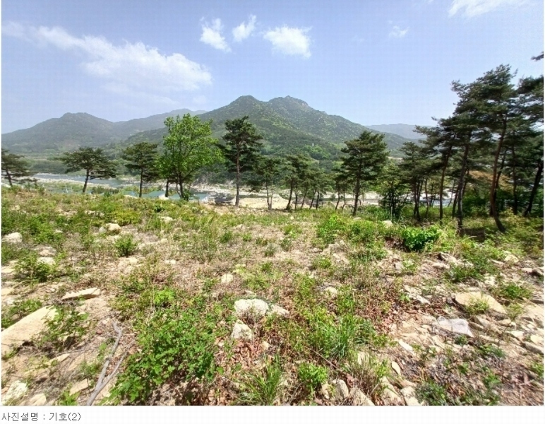 2024타경1513 경상남도 산청군 단성면 방목리 산135-37 임야 경매 이미지