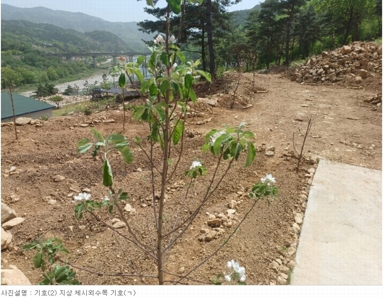 2024타경1513 경상남도 산청군 단성면 방목리 산135-37 임야 경매 이미지