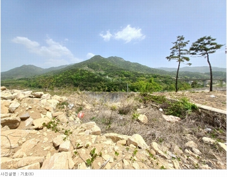 2024타경1513 경상남도 산청군 단성면 방목리 산135-37 임야 경매 이미지