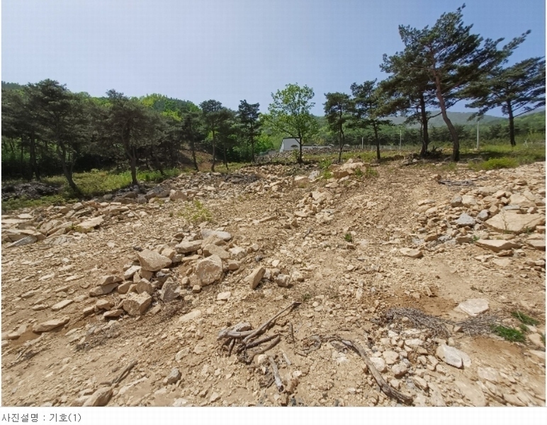 2024타경1513 경상남도 산청군 단성면 방목리 산135-37 임야 경매 이미지
