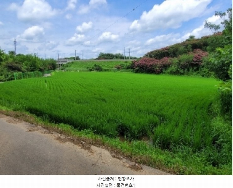 2024타경3984 경상남도 진주시 일반성면 창촌리 456-2 농지 경매 이미지