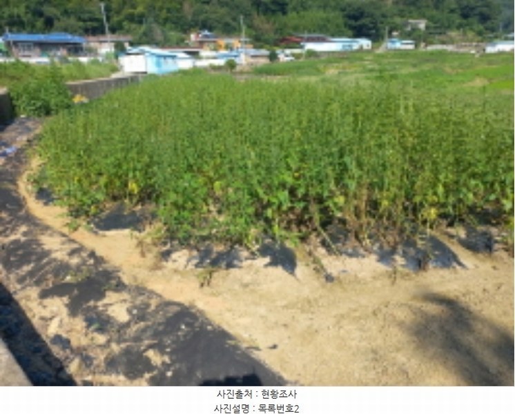 2024타경4260 경상남도 남해군 삼동면 동천리 1205 농지 경매 이미지
