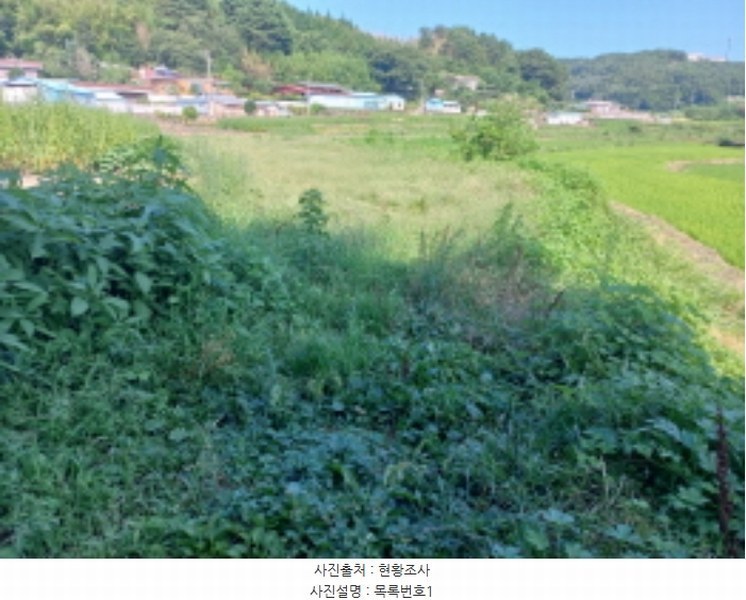 2024타경4260 경상남도 남해군 삼동면 동천리 1205 농지 경매 이미지