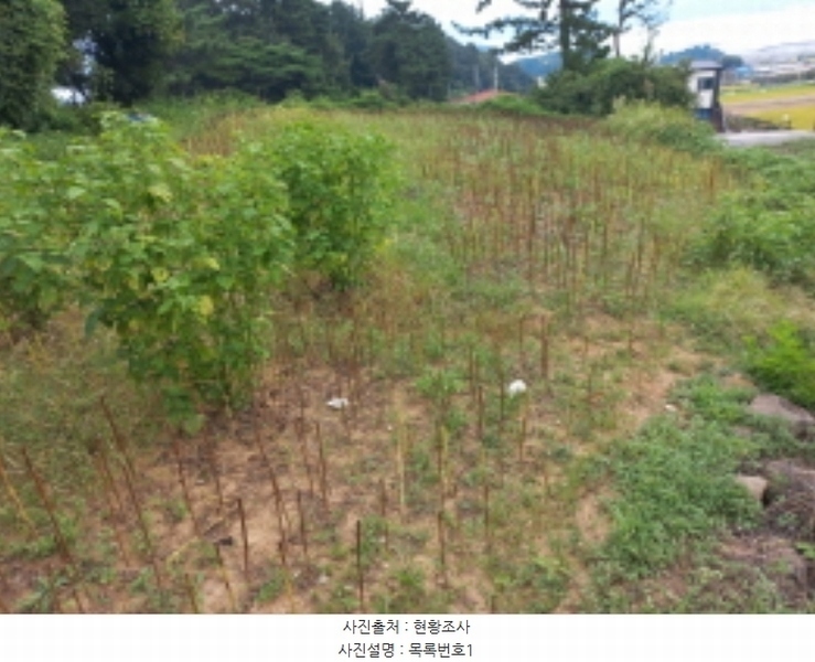 2024타경4659 경상남도 남해군 설천면 문항리 1321-2 농지 경매 이미지