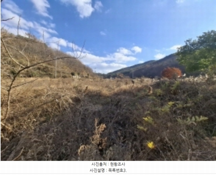 2024타경6303 경상남도 남해군 남면 죽전리 563-1 농지 경매 이미지