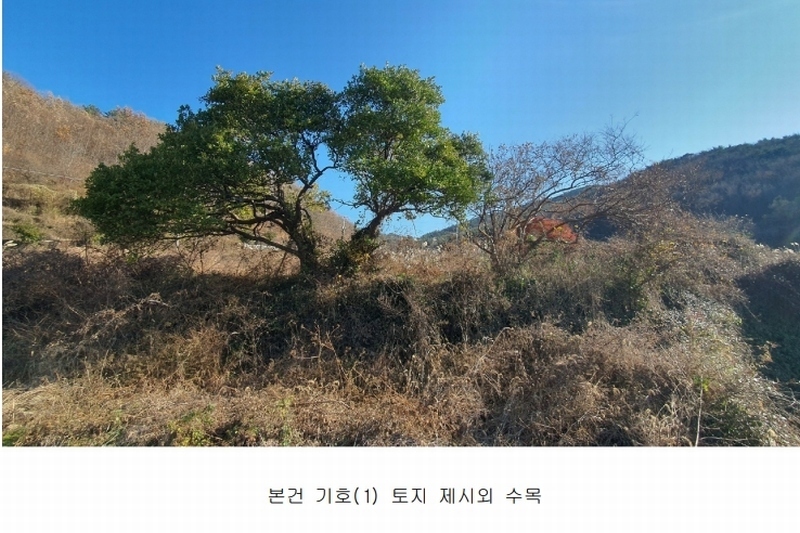2024타경6303 경상남도 남해군 남면 죽전리 563-1 농지 경매 이미지