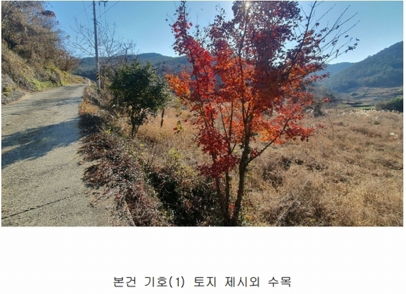 2024타경6303 경상남도 남해군 남면 죽전리 563-1 농지 경매 이미지