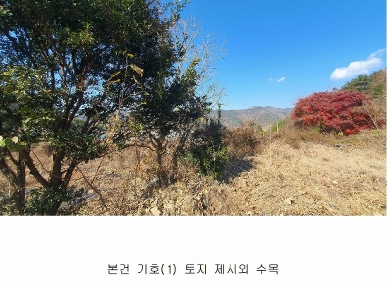 2024타경6303 경상남도 남해군 남면 죽전리 563-1 농지 경매 이미지