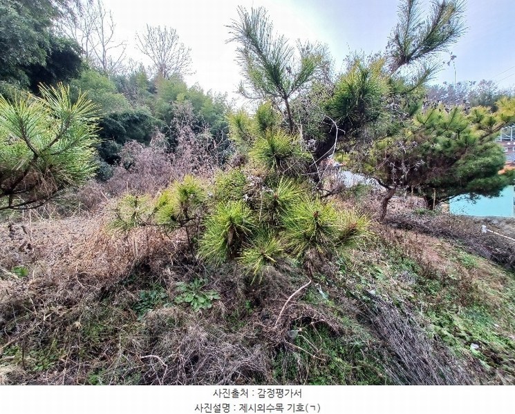 2024타경6433 경상남도 진주시 장재동 442 대지 경매 이미지