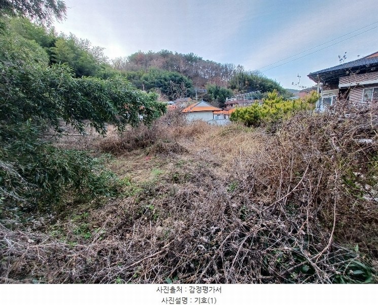 2024타경6433 경상남도 진주시 장재동 442 대지 경매 이미지