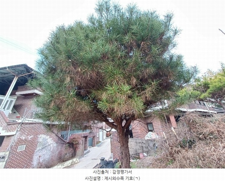 2024타경6433 경상남도 진주시 장재동 442 대지 경매 이미지