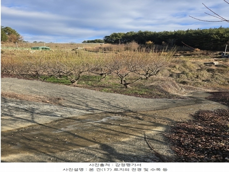 2024타경6563 경상남도 남해군 설천면 금음리 1271 주택 경매 이미지