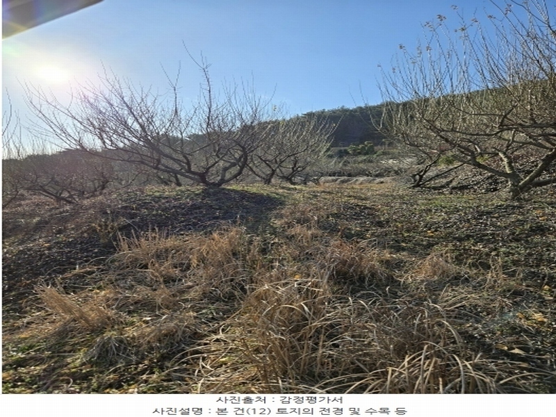 2024타경6563 경상남도 남해군 설천면 금음리 1271 주택 경매 이미지