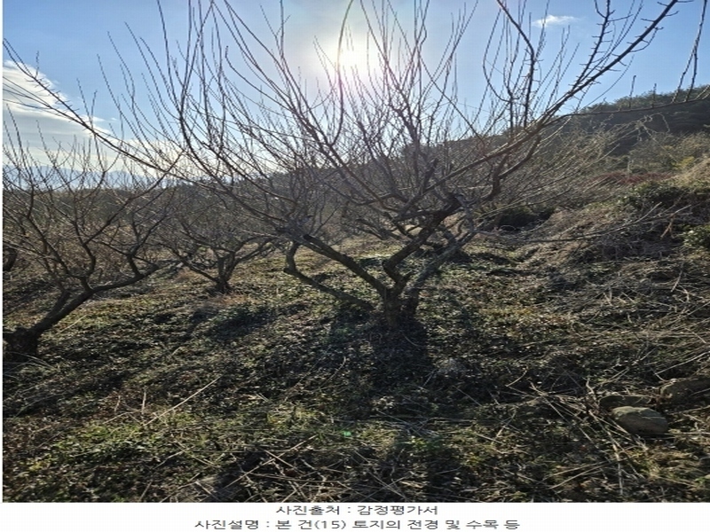2024타경6563 경상남도 남해군 설천면 금음리 1271 주택 경매 이미지